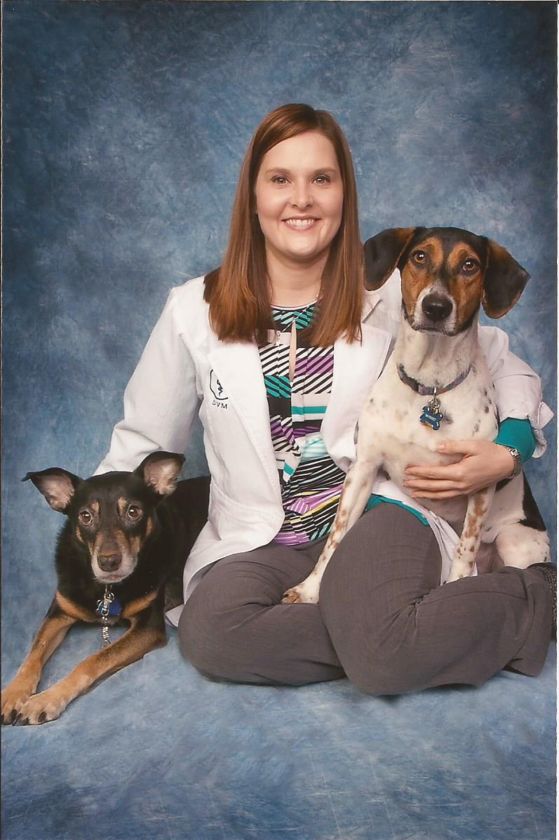 Veterinarians Poland Veterinary Centre Poland, OH